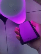 Apple iPhone 8 Plus. �/�, 64 ��, ������� ����