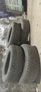 Nordman 4. ������, ����������, 2020 ���, �/�, ����� 50 % ����