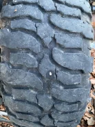 Interco SS-M16. ����� at, 2013 ���, �/�, ����� 30 % ����