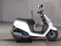 Honda Dunk. 49����. ��., ��������, ��� ������� ����