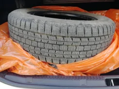 Streamstone SW705. ������, ��� �����, �/�, ����� �� 5 % ����