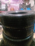NorthTrek. ������, ��� �����, �/�, ����� 30 % ����