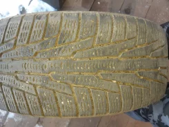 Nordman 5. ������, ��� �����, 2016 ���, �/�, ����� 30 % ����
