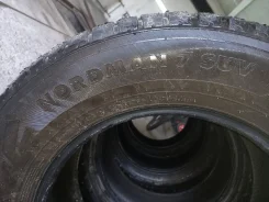 Nordman 7. ������, ��� �����, 2018 ���, �/�, ����� 50 % ����