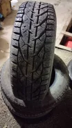 Tigar Ice. ������, ����������, �/�, ����� 10 % ����
