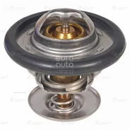 ��������� ��� �/� Ford Focus I (98-)/Mondeo I (93-)/Mondeo II (96-) (92��) (�������. ) Luzar LT1003 LT1003 ����