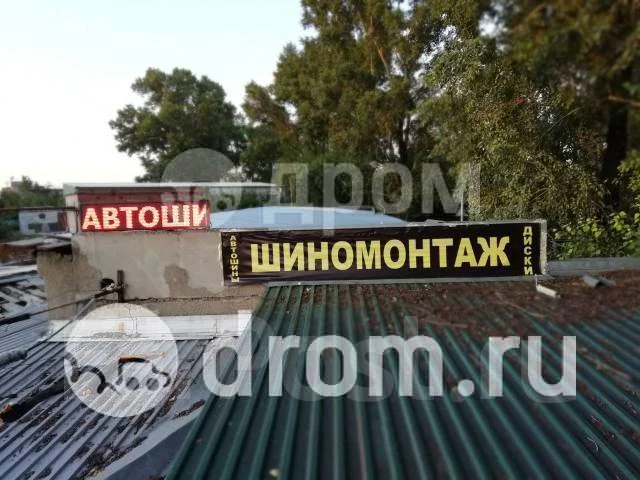 Triangle Snowlink PL01. ������, ��� �����, 2023 ���, ����� ����