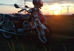 Alpha 50. 49����. ��., ��������, ���������, ������ �� �� ����