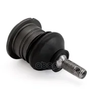 ����� �������. Absel, ������� HY336024. �������� � ������ � ��������� � �����������. Absel ���. hy336024 HY336024 ����