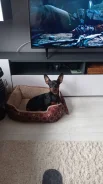 ������. ����