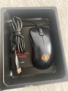 ���� �������. ����