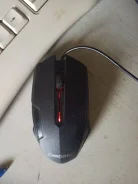���� ������������. ����