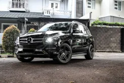 Mercedes-Benz GLE. W166, 651 ����