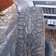 Nordman 5. ������, ��� �����, �/�, ����� 30 % ����