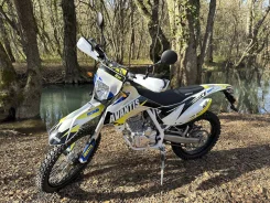 Avantis FX 250 Lux. 250����. ��., ��������, ���������, ������ �� �� ����