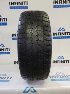 Toyo Winter Tranpath S1