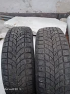 Bridgestone Winter Radial WT-17. ������, ����������, �/�, ����� 20 % ����