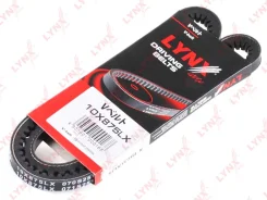 ������ �������� : 10X875LX ����