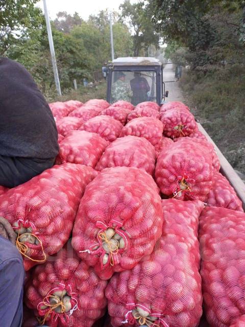 Картошка, в наличии. Цена: 35₽ во Владивостоке