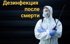 ����������� ����� ������ ����