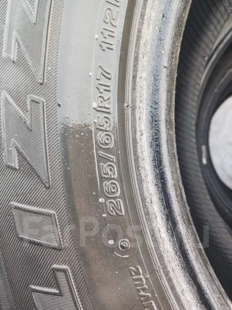 Bridgestone Blizzak DM-V1. ������, ��� �����, �/�, ����� 35 % ����