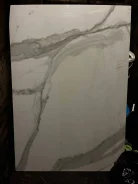 ������������. ����