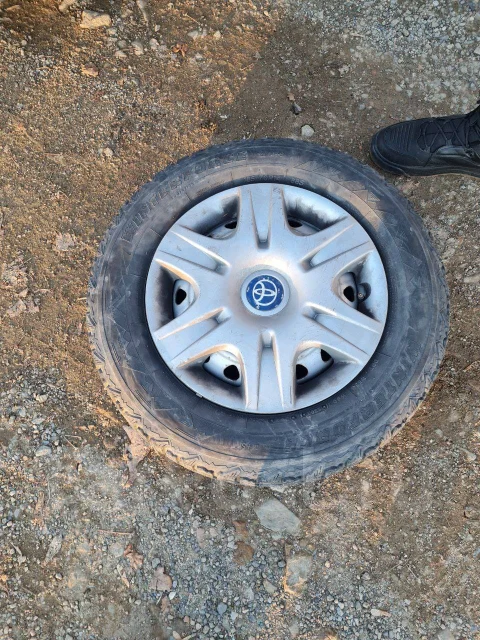 Firestone Winterforce. ������, ��� �����, �/�, ����� 20 % ����
