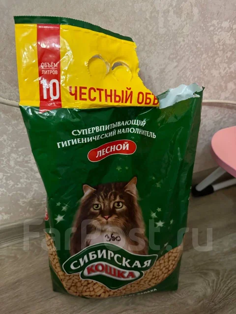 �����. ����