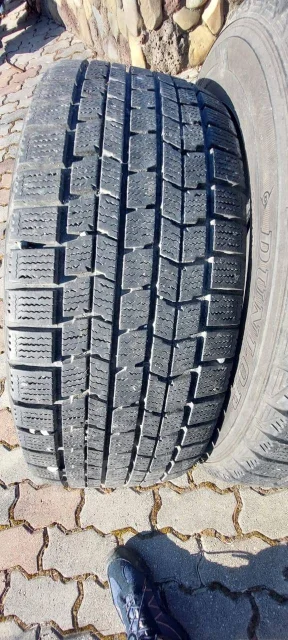 Dunlop Graspic DS-V. ������, ��� �����, 2018 ���, �/�, ����� 10 % ����