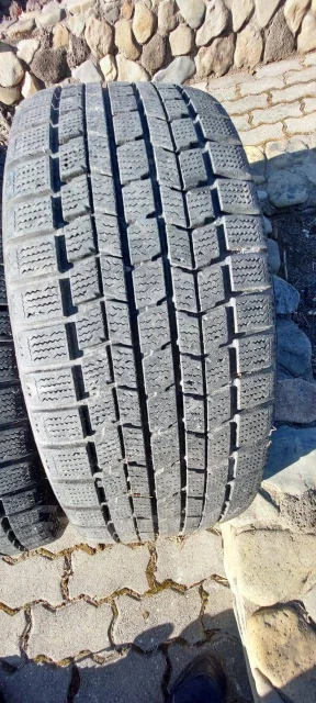 Dunlop Graspic DS-V. ������, ��� �����, 2018 ���, �/�, ����� 10 % ����