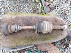 ������ �������� ����� ����