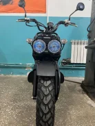 Honda Zoomer. 49����. ��., ��������, ��� ���, ��� ������� ����