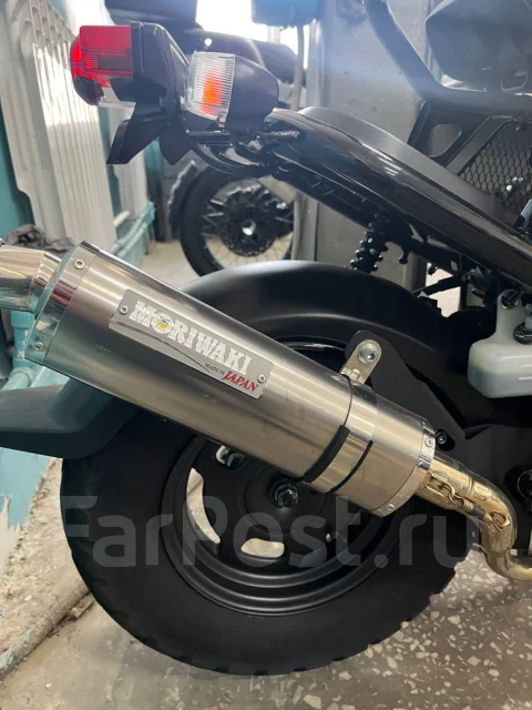 Honda Zoomer. 49����. ��., ��������, ��� ���, ��� ������� ����