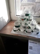 ������ ����� ���������� "�����" ����