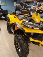 Stels ATV 850G Guepard Trophy PRO. ��������, ��, �� ����