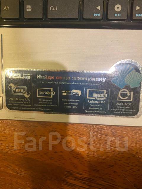 Asus Eee PC. 10.1", 2,4����, ��� 8 ��, ���� 500���, WiFi: 1, Bluetooth: 1, ����������� �� 3��. ����