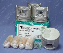 ������ ��������� WL STD Teikin WLY3-11-SA0 Not Alfin 42186 ����