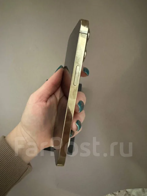 Apple iPhone 13 Pro. �/�, 512 ��, �������, 4G LTE ����