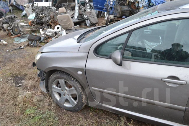 Peugeot 307. TU5JP4 ����