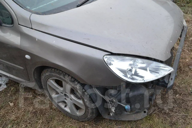 Peugeot 307. TU5JP4 ����