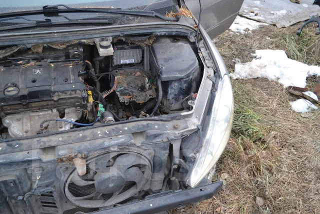 Peugeot 307. TU5JP4 ����
