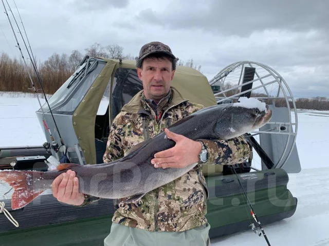 �������. 2019 ���, ����� 7��., ��������� ������������, 300��.�., ������ ����