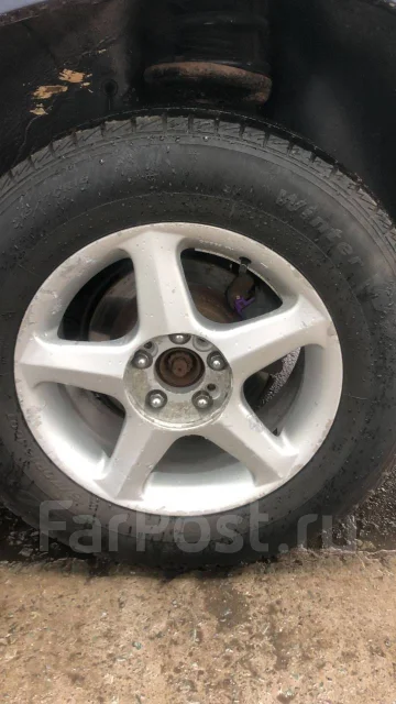 Accelera. ������, �/�, ����� 40 % ����