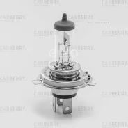 ����� H4 12V (60/55W) DayNight Carberry 31CA7 31CA7 ����