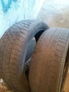 Dunlop Rover. �����������, �/�, ����� 40 % ����