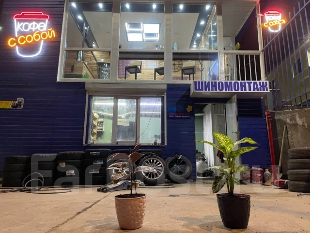 Triangle Snowlink PL01. ������, ��� �����, 2024 ���, ����� ����