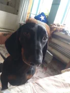 �����. ����