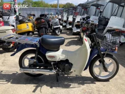 Suzuki Birdie