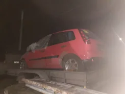 Ford Fiesta ����
