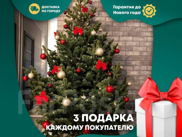 Живые Елки Сосны и Пихты, огромный склад, +6 подарков каждому, новый, в ...